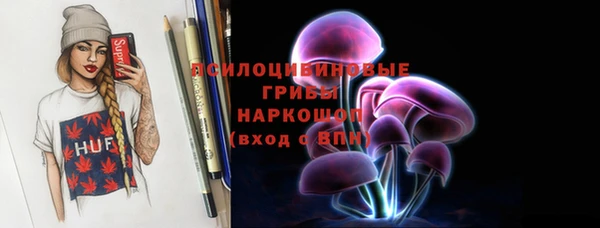 молекула духа Алапаевск