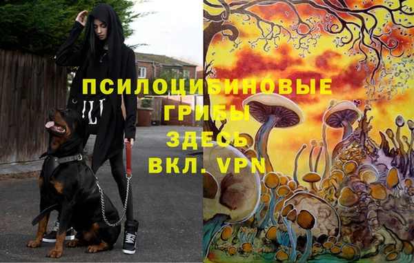 дурь Мегион