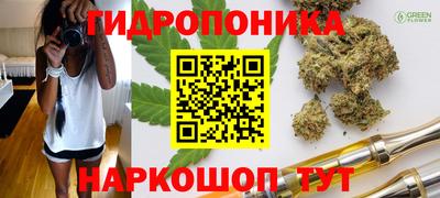 крисы Волжский