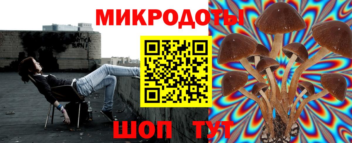 Галлюциногенные грибы Magic Shrooms Георгиевск